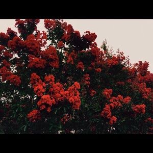 Meet your Posher, Danira